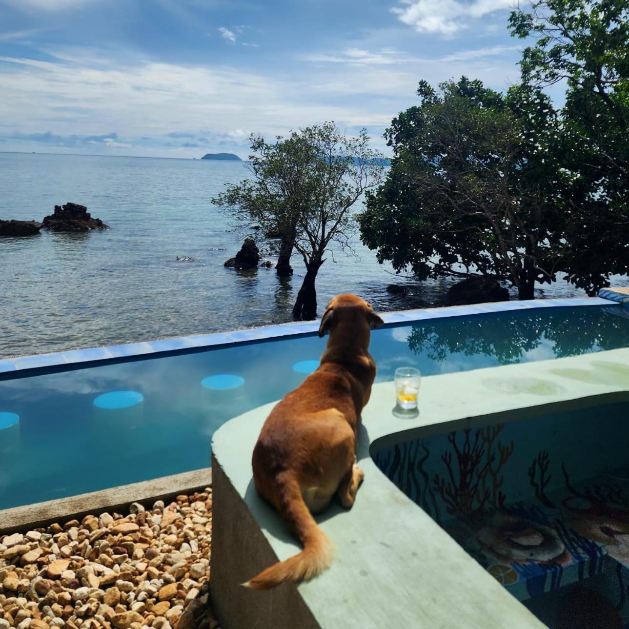 Cocovana Beach Resort (Adults Only) Busuanga Eksteriør billede